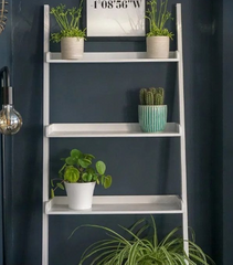 Shelving Plants