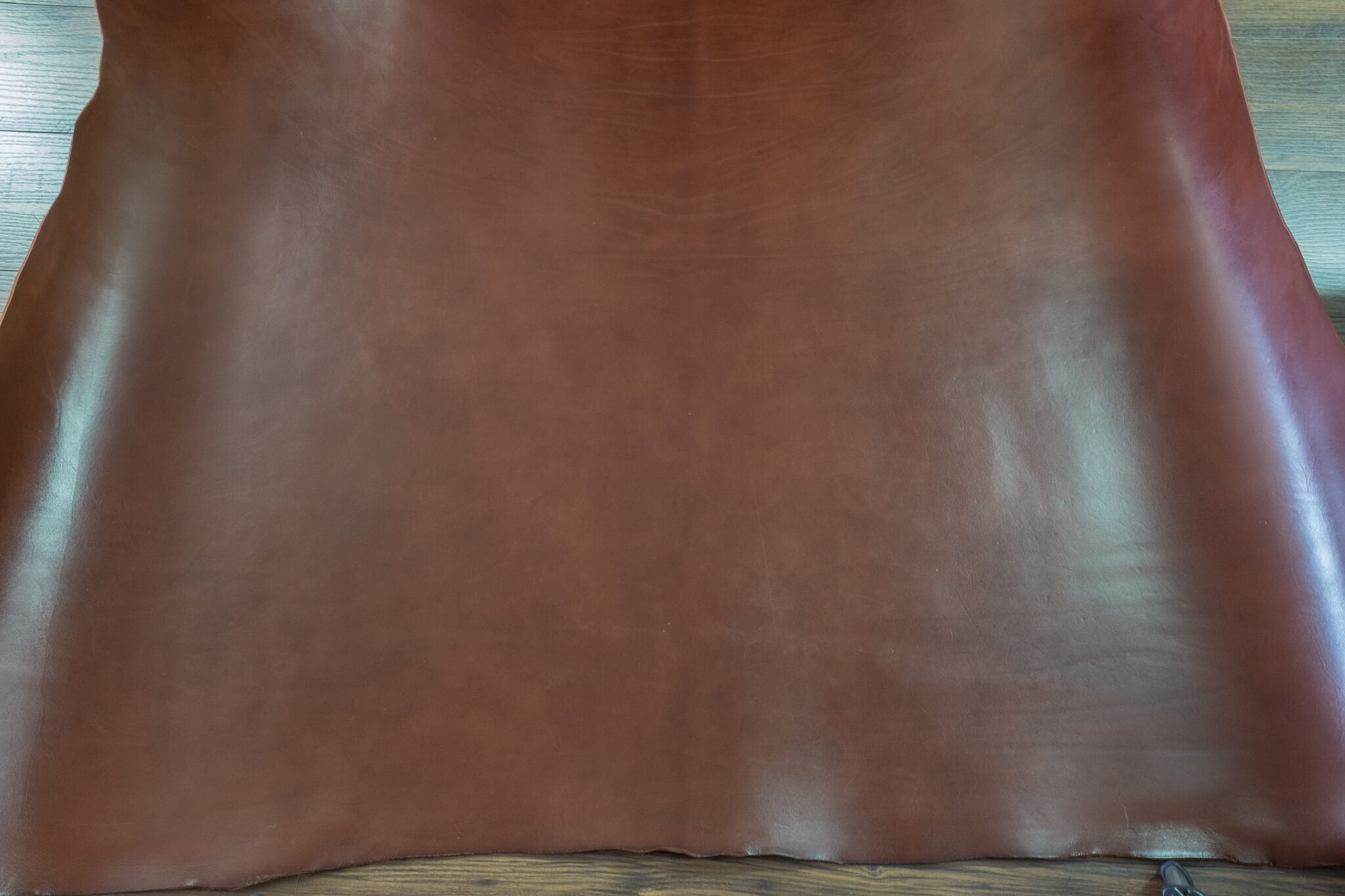 A whole hide of full grain 3-4mm thick A-grade belt leather