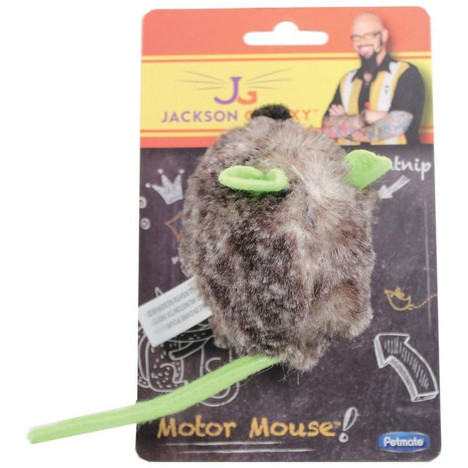 jackson galaxy motor mouse