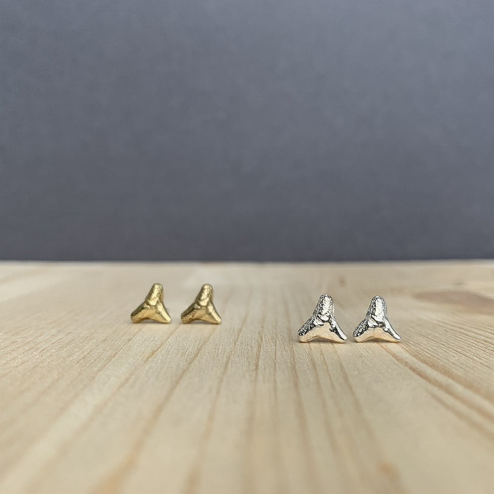 shark tooth earring studs