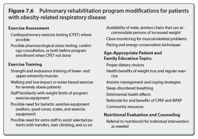 Obesity Related Respiratory Disorders Human Kinetics Europe