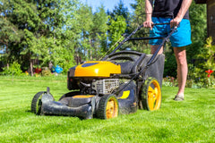 Man mows grass with lawn mower on sunny morning in garden