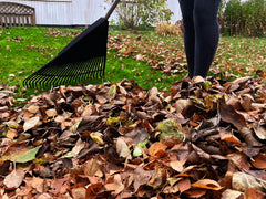 Woman raking leaves in Autumn