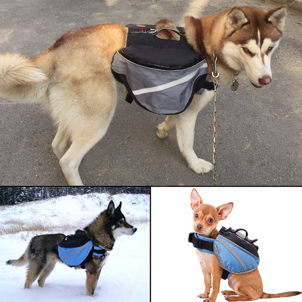 dog back carrier