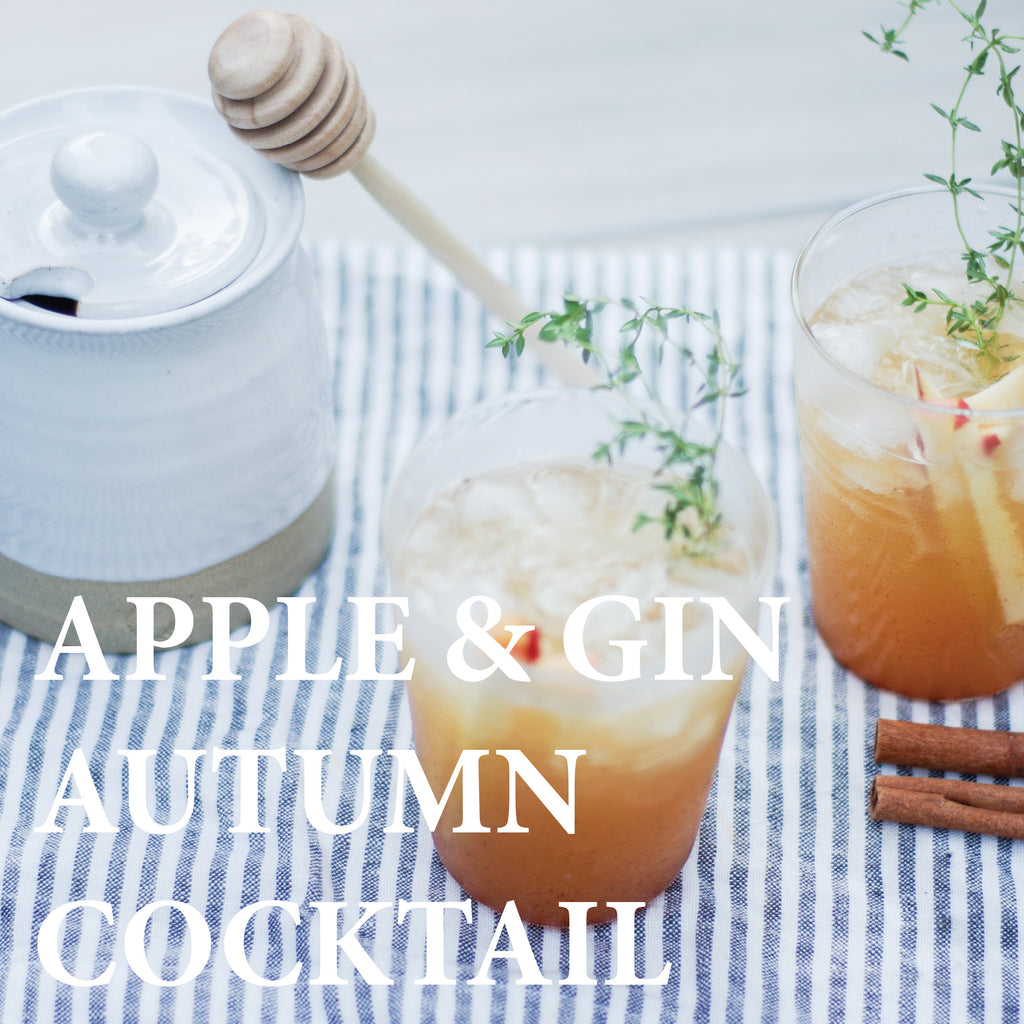Thanksgiving Cocktail - Apple and Gin Autumn Drink