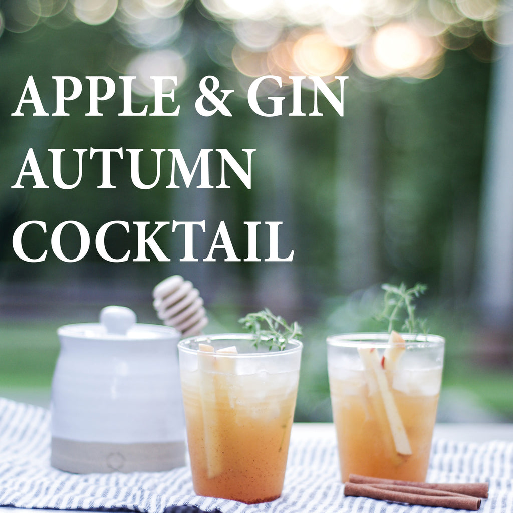 Apple and Gin Autumn Cocktail - Aviation Gin  Fishes and Loaves