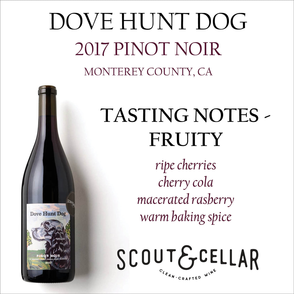 Dove Hunt Dog - Pinor Noir - Scout and Cellar