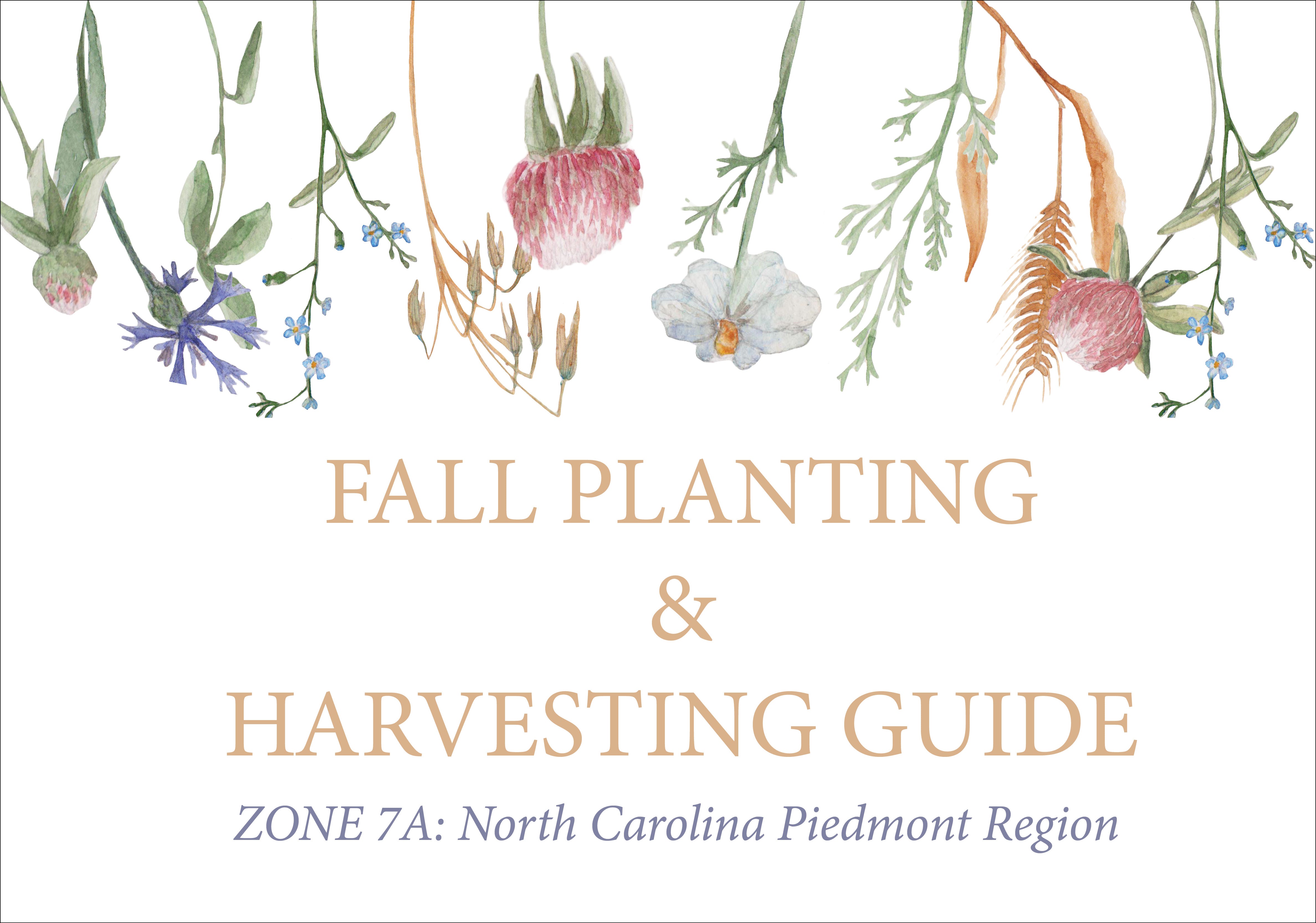 Fall Planting and Harvesting - North Carolina Piedont Zone 7A