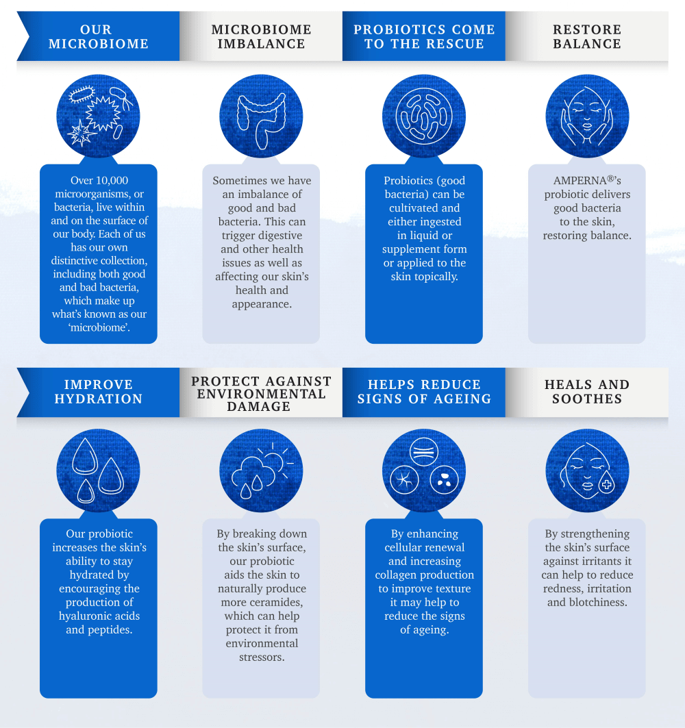 AMPERNA® Infographic