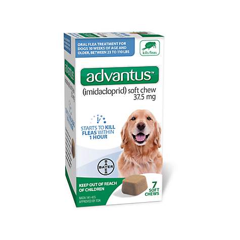 is there an oral flea and tick pill for dogs