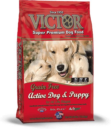 can puppies eat victor dog food