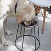 ELEVATED 30CM DOG STAND + BOWL - BENJI + MOON