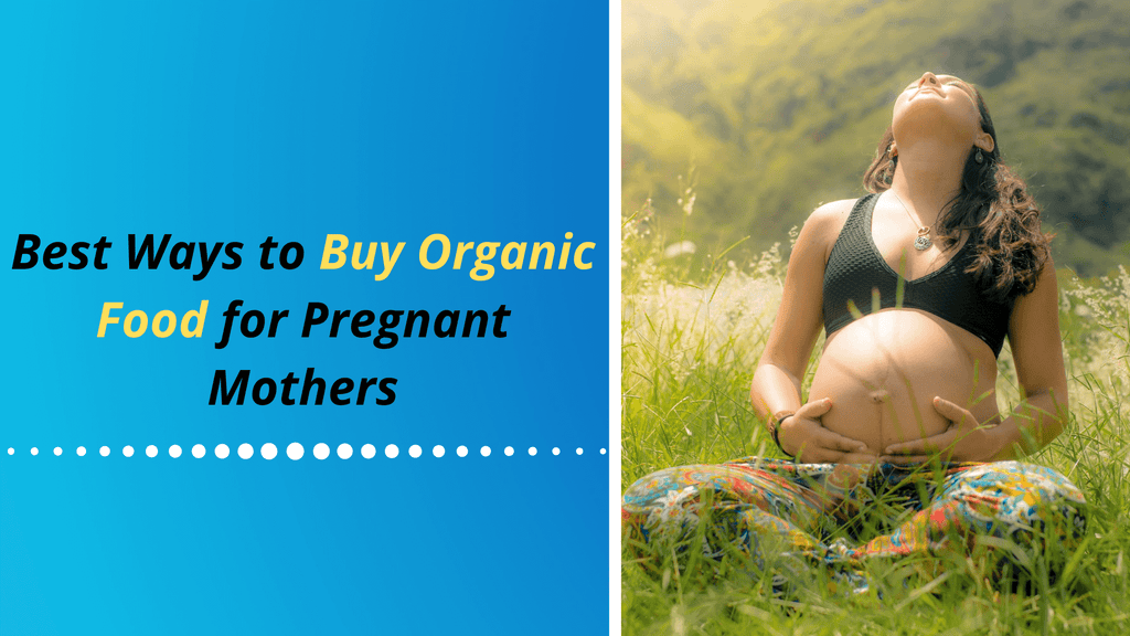 https://arrybarry.com/blogs/news/best-ways-to-buy-organic-food-for-pregnant-mothers