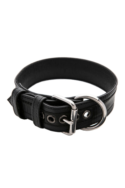 dog collars with stainless steel buckle and d