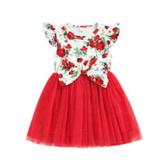 Shiloh Tutu Dress