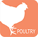 Poultry