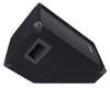 CALLISTO-10M <br/> CALLISTO Series 10” Passive Stage Monitor Speaker