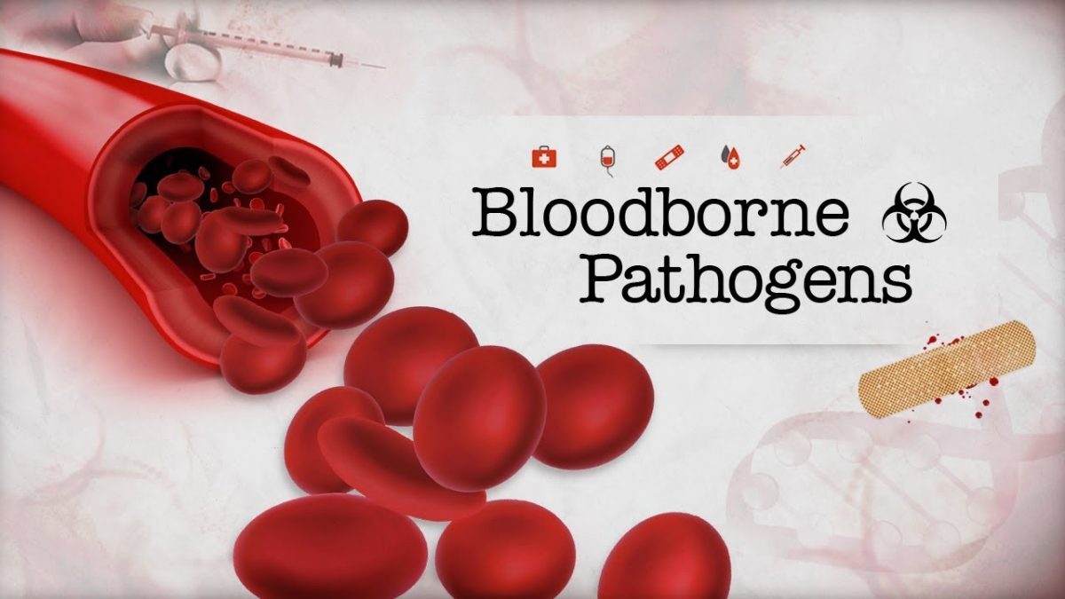 10 Shocking Facts About Bloodborne Pathogens Sharps Management