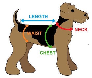 Gennine Leather Dog Collar with Handle