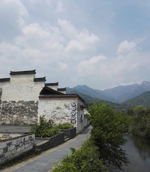 Lixi Village in Anhui, photographed by Karen in April 2017
