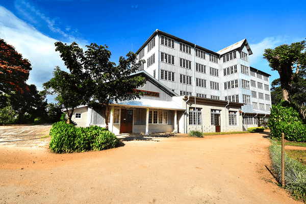 Ceylon tea museum