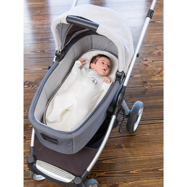 pram and bassinet