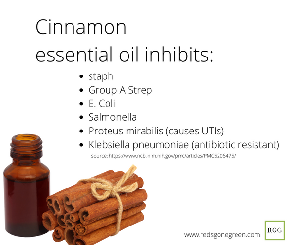 Cinnamon Essential Oil Benefits | Red's Gone Green