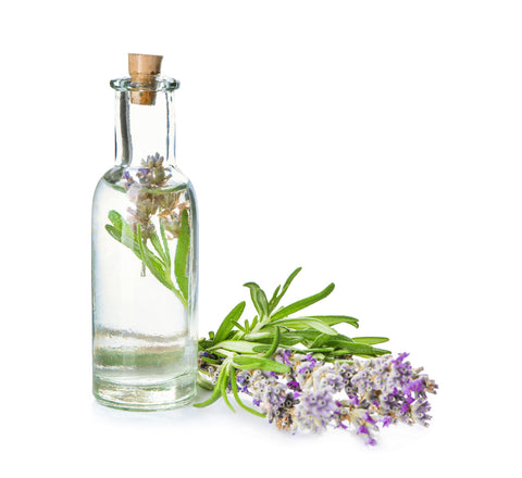 lavender essential oil uses and benefits