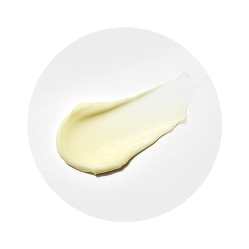 Missha Vita C Plus Spot Correcting Firming Cream Korean Kiwi Beauty