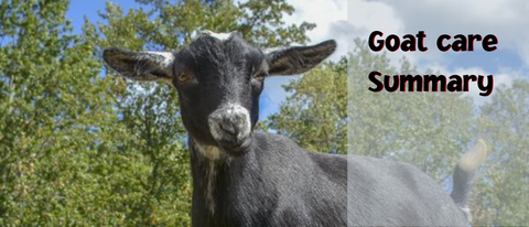 Goat care summary