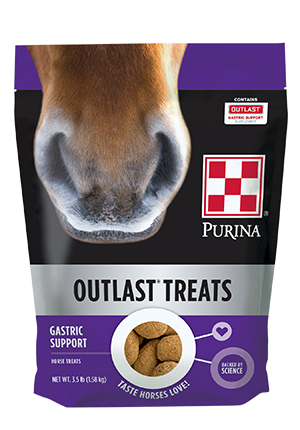 are horses used in dog food