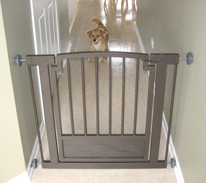 metal dog barrier