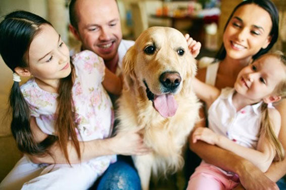 family-dog