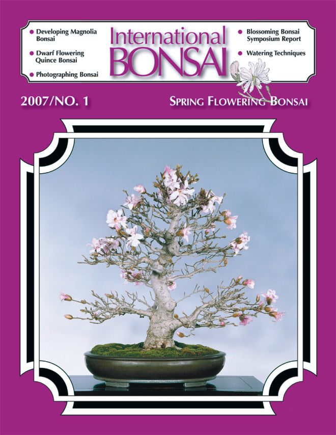 cover of International Bonsai Magazine no. 1 featuring spring bonsai blooms
