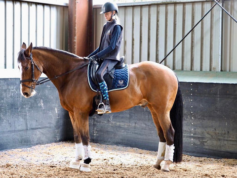 Maddy Theobold Eventing