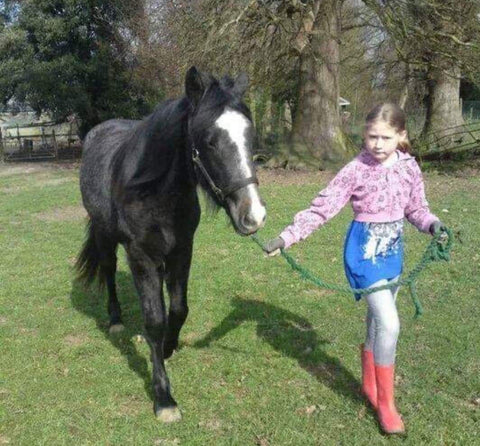 Lauren Ransom Two White Socks equestrian
