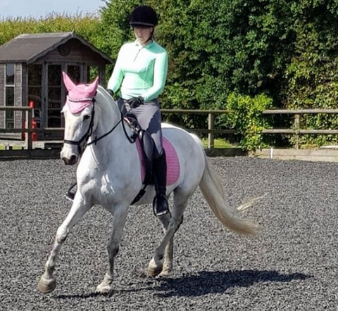 Lauren Ransom Two White Socks equestrian