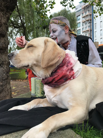 Halloween_zombie_dog_Blood