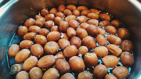 These acorns are ready for boiling.