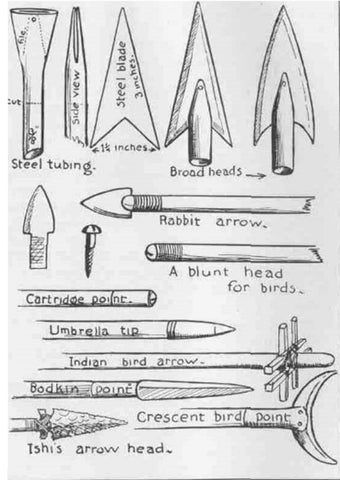 Various arrow-head points used by Indians. Note Ishi’s point illustrated as well.