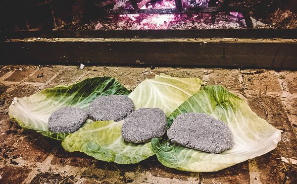 Corn pones on cabbage leaves. Other green leaves or corn husks can be used as well.