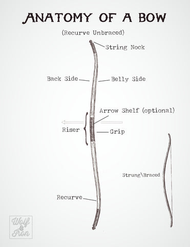 The Anatomy of a Traditional Recurve Bow. Pictured is a simple recurve, a truly primitive weapon and hunting tool as used by early Native Americans.