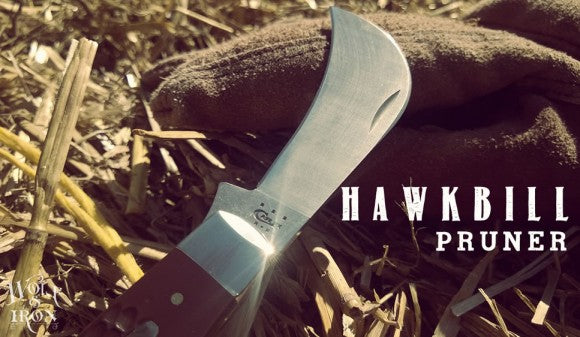 case hawkbill pocket knife