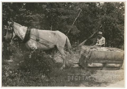 An apple or fruit Sled may have looked something like this.