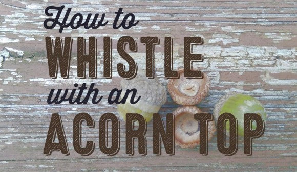 Video: How to Whistle with an Acorn Top - Wolf and Iron