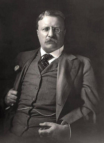 theodore roosevelt getting fat