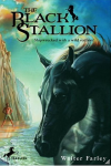 The Black Stallion