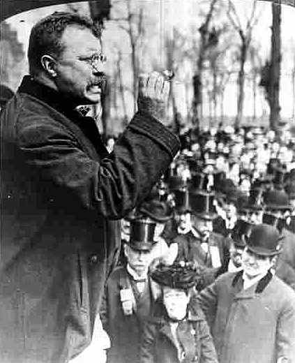 theodore roosevelt in his prime