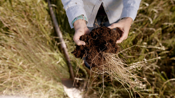 Soil Samples