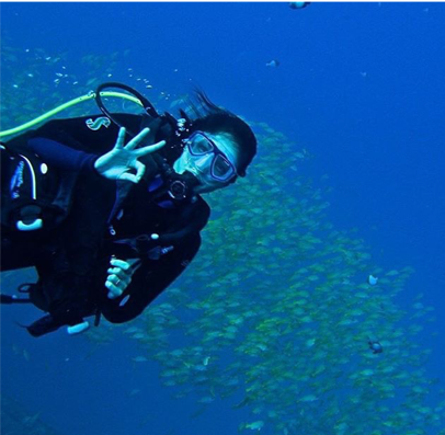 scuba diving hawaii oahu free diving shells